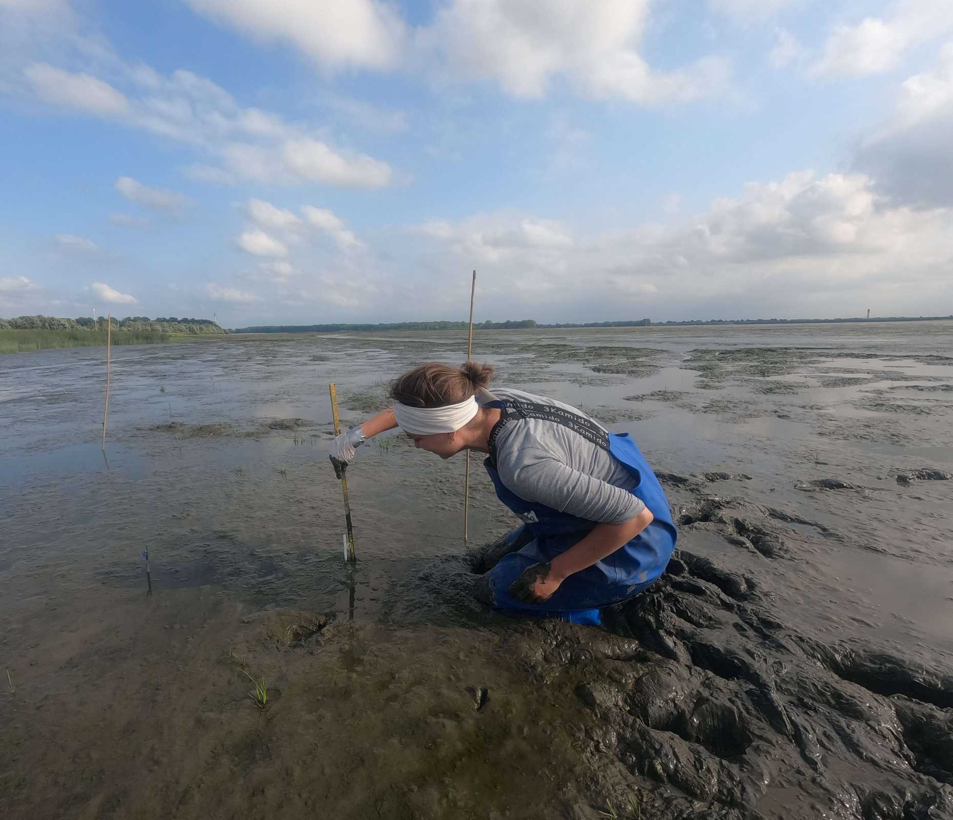 Joelle working in the field