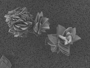 Enlarged view: Vivianite SEM