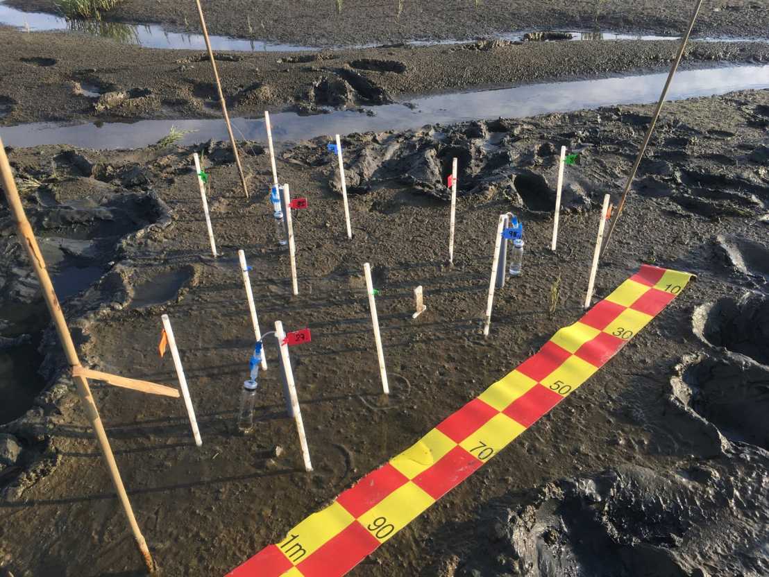Enlarged view: Field site