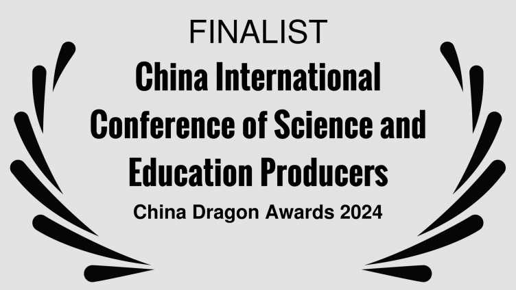 finalist banner
