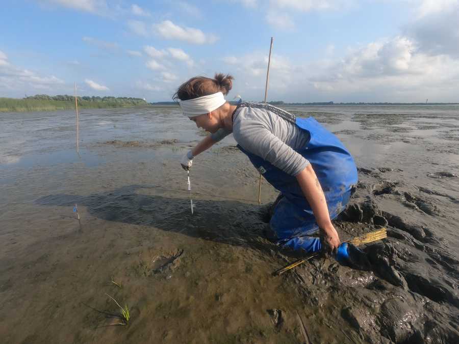 Enlarged view: Joëlle working in the field