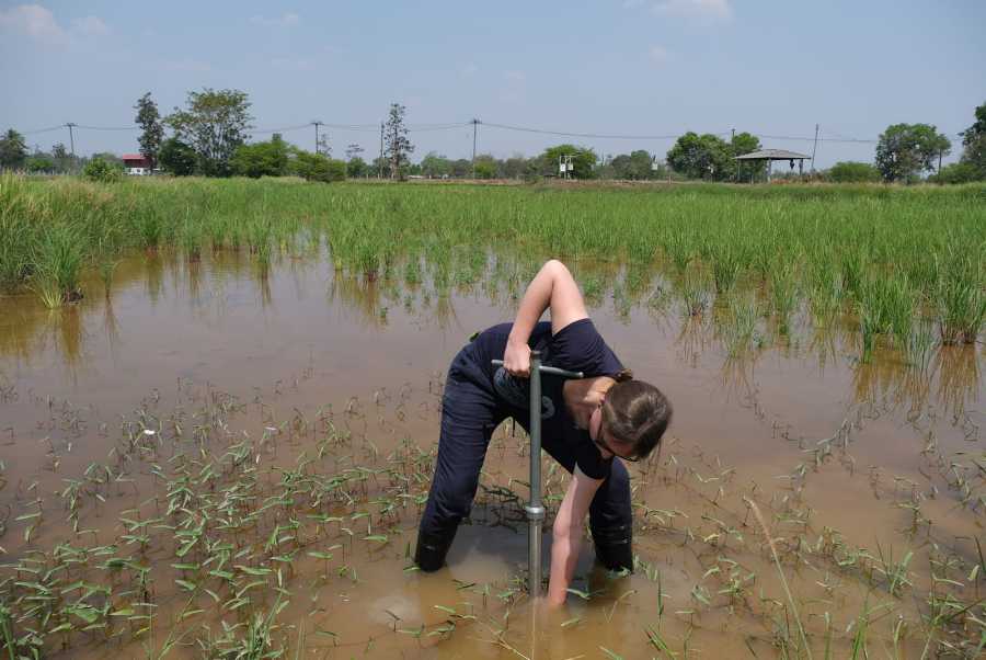 Enlarged view: Working in a flooded rice paddy field