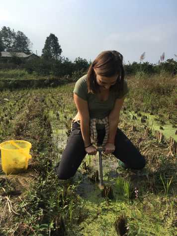 Enlarged view: Field sampling