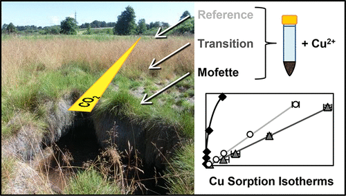 Enlarged view: mofettes