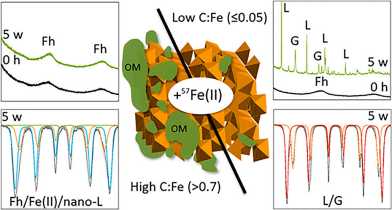 how organic matter impacts Fe(II)-catalyzed iron mineral transformation