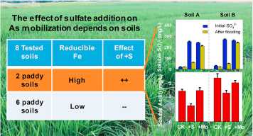 Enlarged view: Xu19 paper