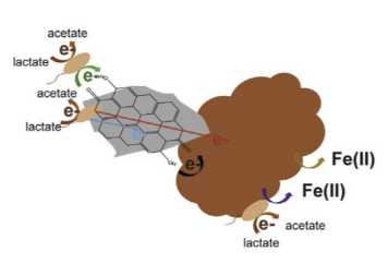 Enlarged view: Biochar_Fh_reduction