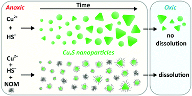 Hoffmann et al. 2020