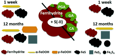 ThomasArrigo et al 2020 TOC Art