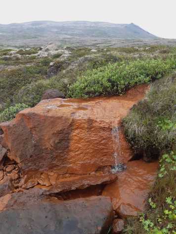 Enlarged view: Iceland 2021