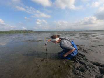 Enlarged view: Wadden Sea 2021