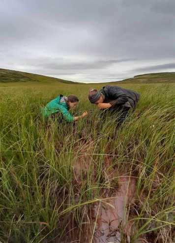 Enlarged view: Investigating flocs in Iceland