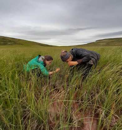 Investigating flocs in Iceland