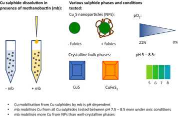 Enlarged view: Rushworth et al 2022 Figure 1