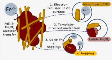 Graphical abstract