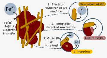 Enlarged view: Graphical abstract