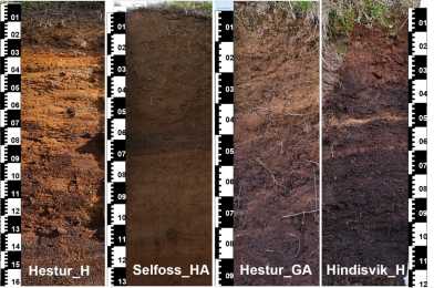 Soils used in the study