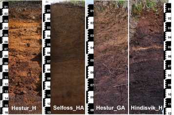 Enlarged view: Soils used in the study