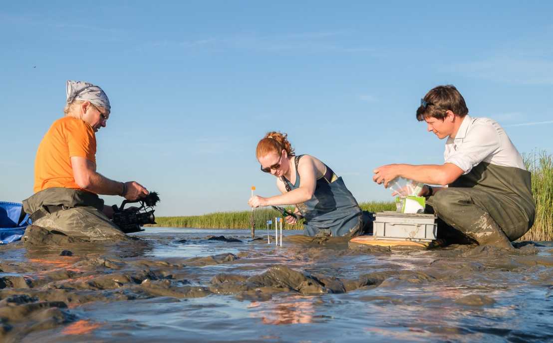 Enlarged view: Filming in the field