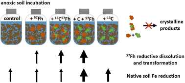 Enlarged view: Table of contents art, or graphical abstract for the new paper